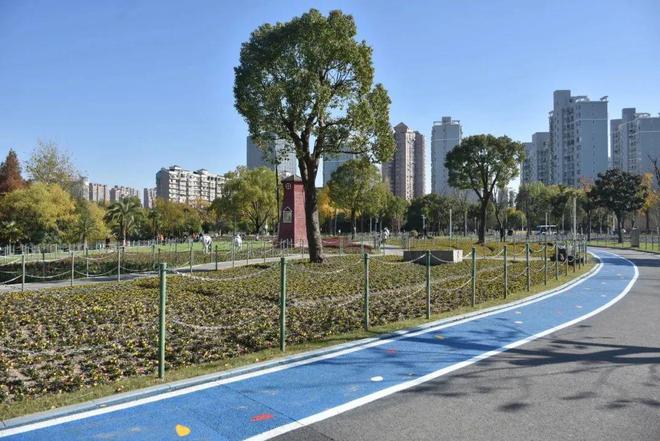 ！ 沪上公园运动指南已解锁快来领取→j9九游会网站入口一起来“甩肉”(图14)